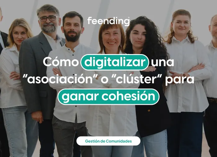 How professional associations and clusters can digitize their community to gain cohesion