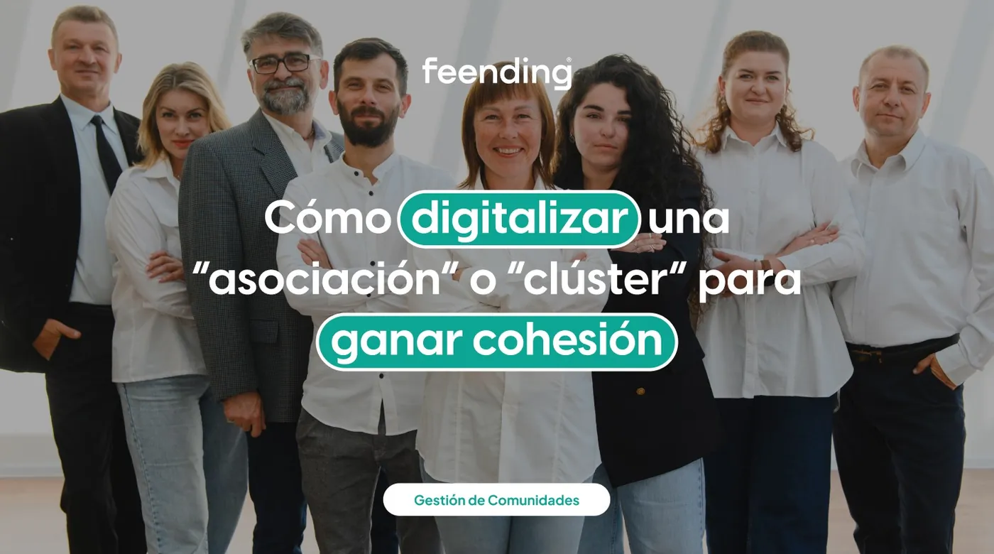 How professional associations and clusters can digitize their community to gain cohesion